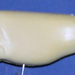 L98 Largemouth Bass (Body Action)