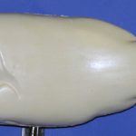 L982 Largemouth Bass (Body Action)