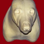 CTW21 Timber Wolf Shoulder - Peter Knapton