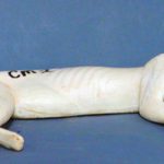 CM1 Marten - Peter Knapton