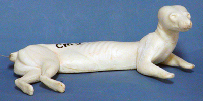 CM1 Marten - Peter Knapton