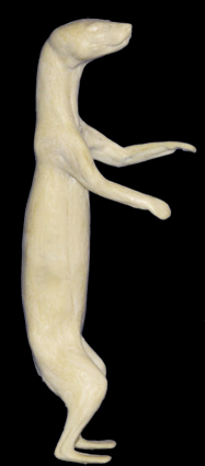 CM17A Marten - Peter Knapton