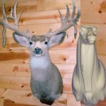 MD002 Upright Buck Shoulder