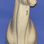 MD004 Upright Buck Shoulder