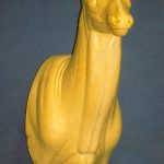 MD005 Upright Buck Shoulder