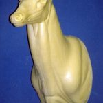 MD014 Upright Buck Shoulder