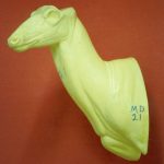 MD021 Upright Buck Shoulder