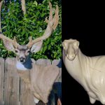 MD7723L Full Wall Pedestal Semi Sneak