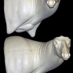 MD7223RWP Full Sneak Wall Pedestal