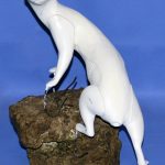 MK6122 Mink - Brian Harness