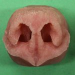 Black Bear Nose Medium