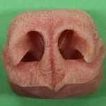 Black Bear Nose Large