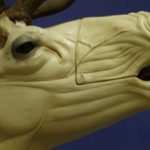 ELK131 Bugling Elk - Left Turn