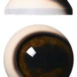 Caribou Pre Rotated 34mm Payer - PR34CB