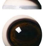 PR34M 34MM Medium Color Pre Rotated