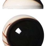 PRV32D 32MM Dark Color Pre Rotated with Veins