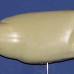 R202 Largemouth Bass