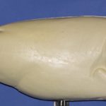 R2092 Largemouth Bass