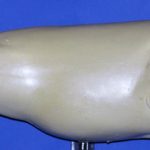 R2095 Largemouth Bass