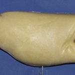 R435 Largemouth Bass