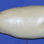 R535 Largemouth Bass