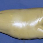 R542 Largemouth Bass