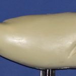 R544 Largemouth Bass