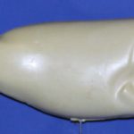 R554 Largemouth Bass