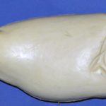 R560 Largemouth Bass