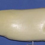 R632 Largemouth Bass