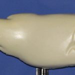 R664 Largemouth Bass