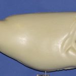 R670 Largemouth Bass