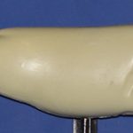 R740 Largemouth Bass