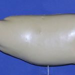 R750 Largemouth Bass