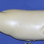 R755 Largemouth Bass