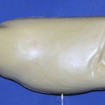 R762 Largemouth Bass