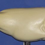 R776 Largemouth Bass