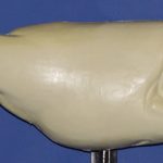 R782 Largemouth Bass