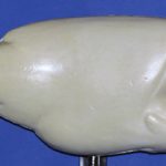 R784 Largemouth Bass