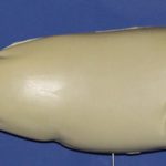 R850 Largemouth Bass