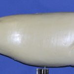 R865 Largemouth Bass