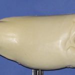 R880 Largemouth Bass