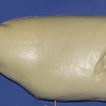 R895 Largemouth Bass