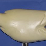 R902 Largemouth Bass