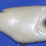 R914 Largemouth Bass