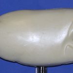 R981 Largemouth Bass