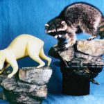 RC4110 Raccoon - Brian Harness