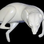 RC4212 Raccoon - Brian Harness