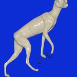 RF2011 Red Fox - Brian Harness