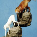 RF2344 Red Fox - Brian Harness